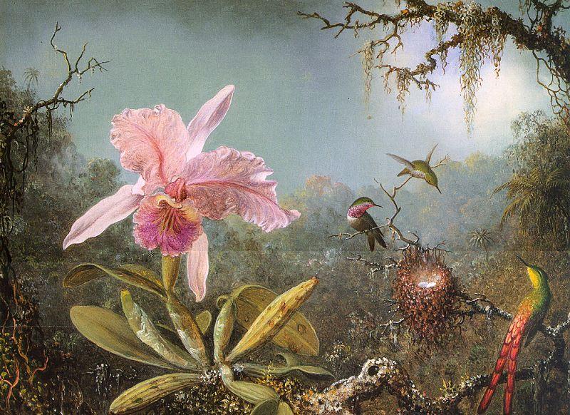 Martin Johnson Heade Cattleya Orchid Three Brazilian Hummingbirds Germany oil painting art
